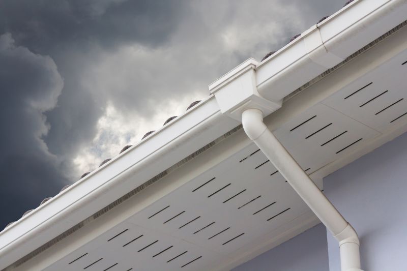 Downspout Repair detail