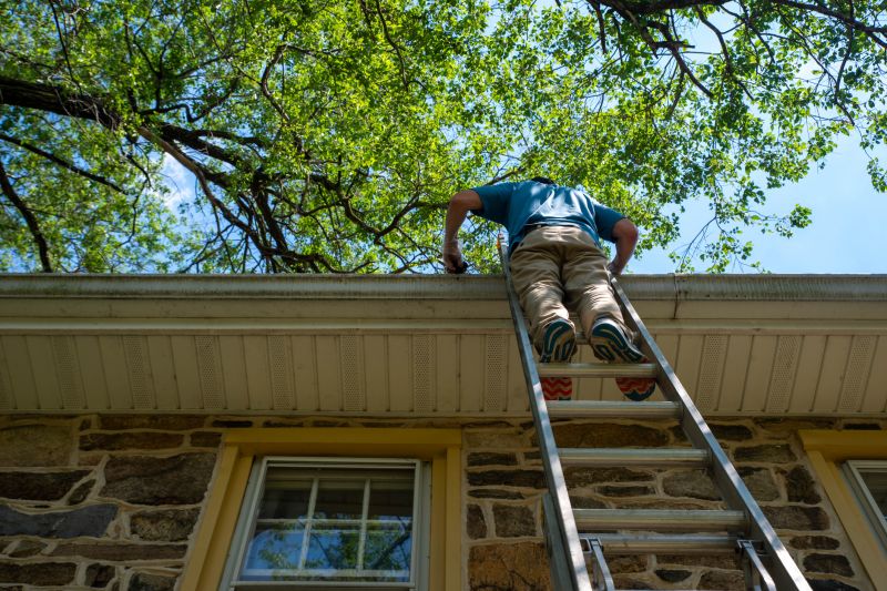 Ladder and Tools for Gutter Cleaning