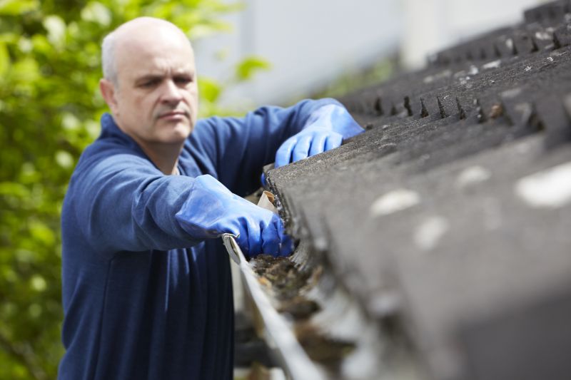 Cleaning and Inspection of Gutters